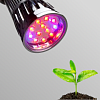Свет для рассады: как организовать досвечивание молодых растений